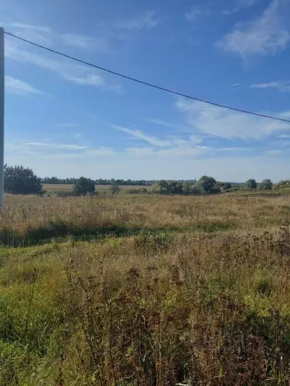 Участок в Владимирская область, Камешковский муниципальный округ, д. ... - Фото 2