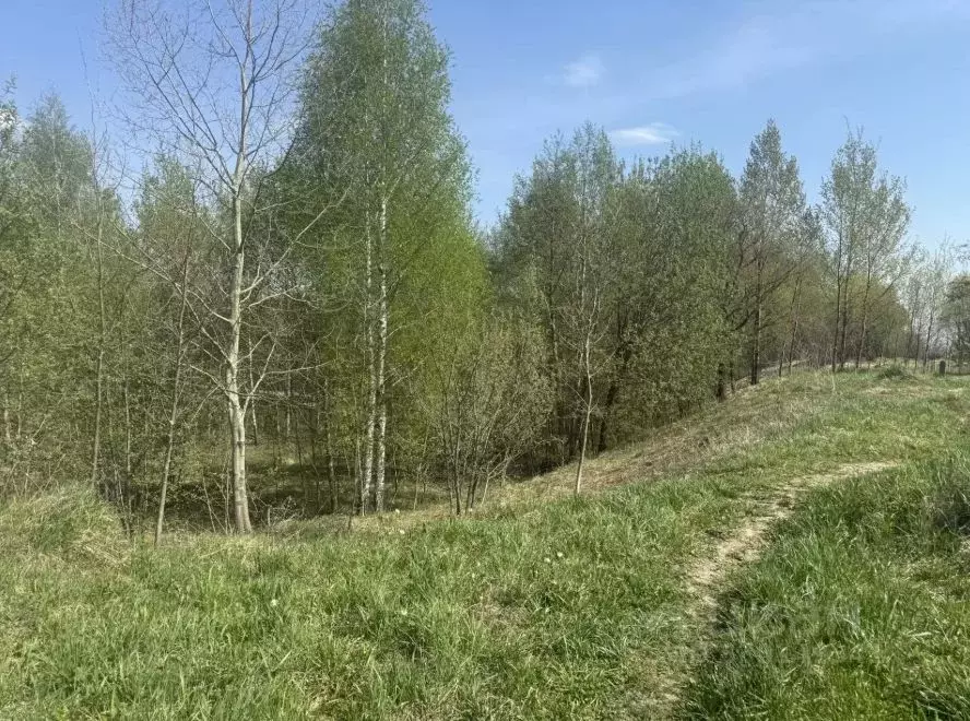 Участок в Московская область, Подольск городской округ, д. Бяконтово  ... - Фото 2