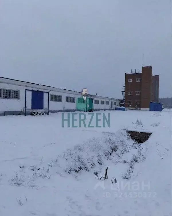 Производственное помещение в Московская область, Раменский ... - Фото 1