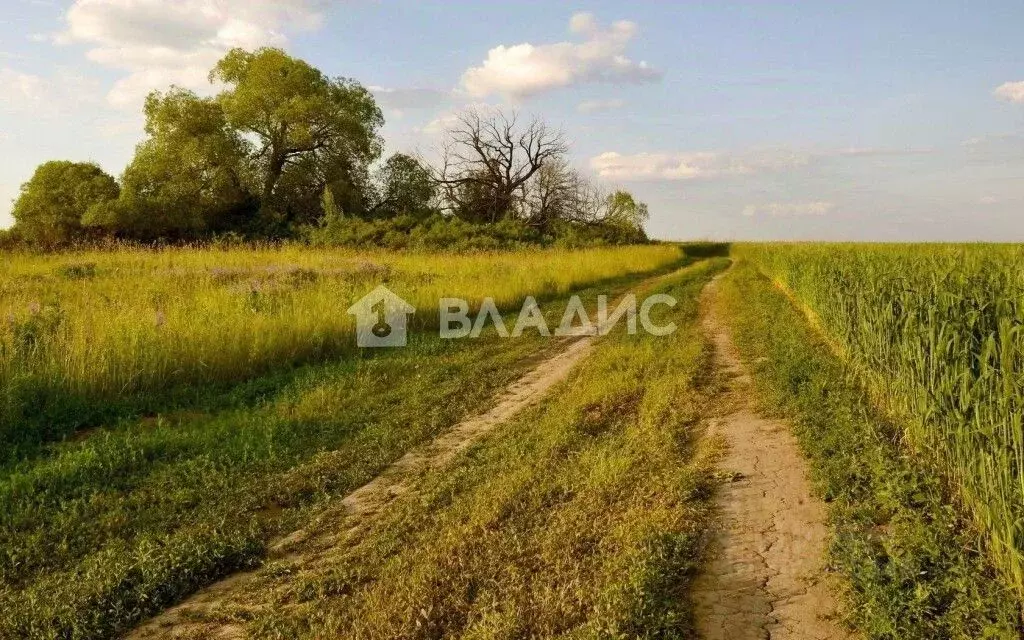 Участок в Калининградская область, Зеленоградский муниципальный округ, ... - Фото 1
