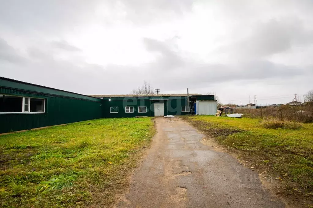 Склад в Ленинградская область, Ломоносовский район, д. Санино 42Е ... - Фото 1