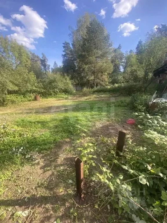 Участок в Московская область, Люберцы городской округ, Малаховка пгт ... - Фото 2