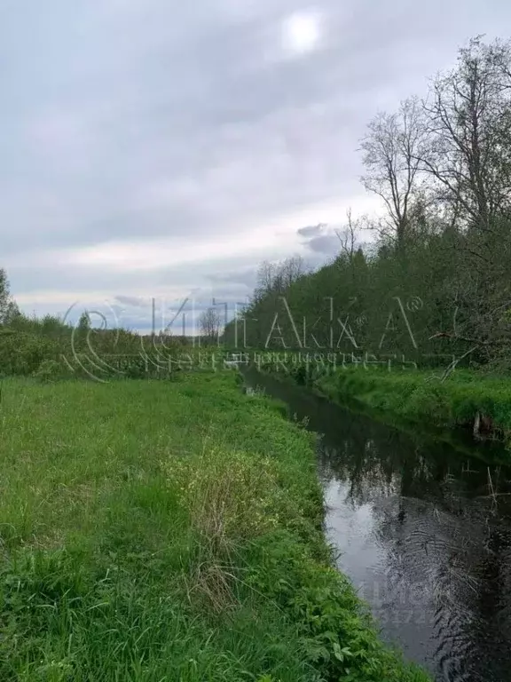 Участок в Ленинградская область, Волховский район, Кисельнинское ... - Фото 1