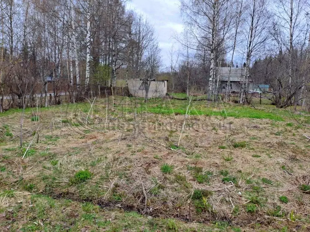 Участок в Ленинградская область, Лодейнопольский район, Алеховщинское ... - Фото 1
