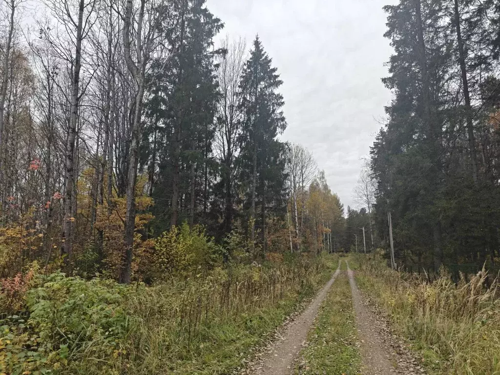 Участок в Ярославская область, Переславль-Залесский муниципальный ... - Фото 0