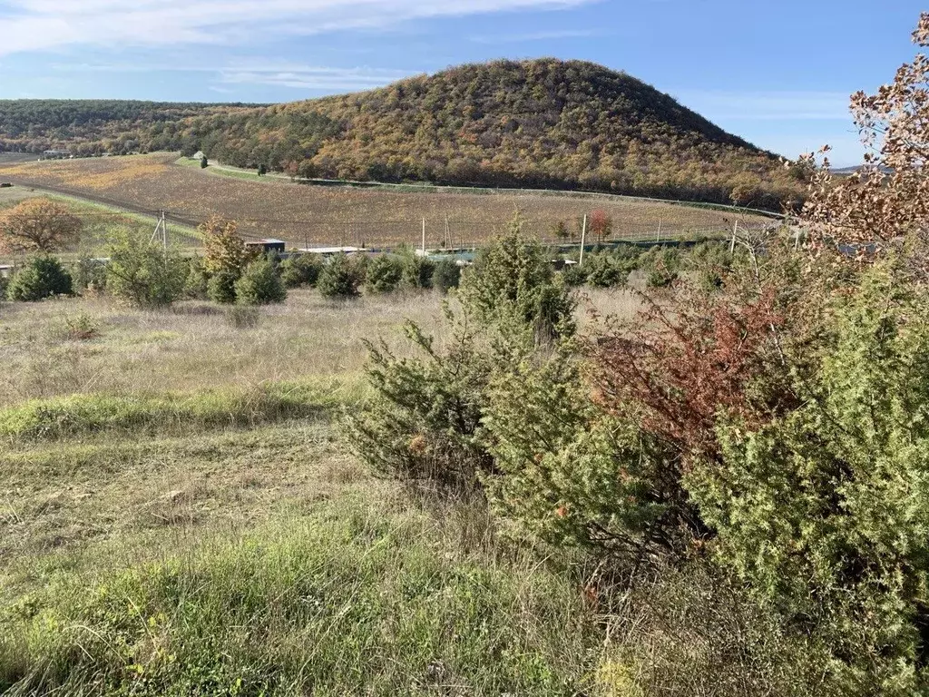 Участок в Севастополь Балаклавский р-н, Терновский муниципальный ... - Фото 2