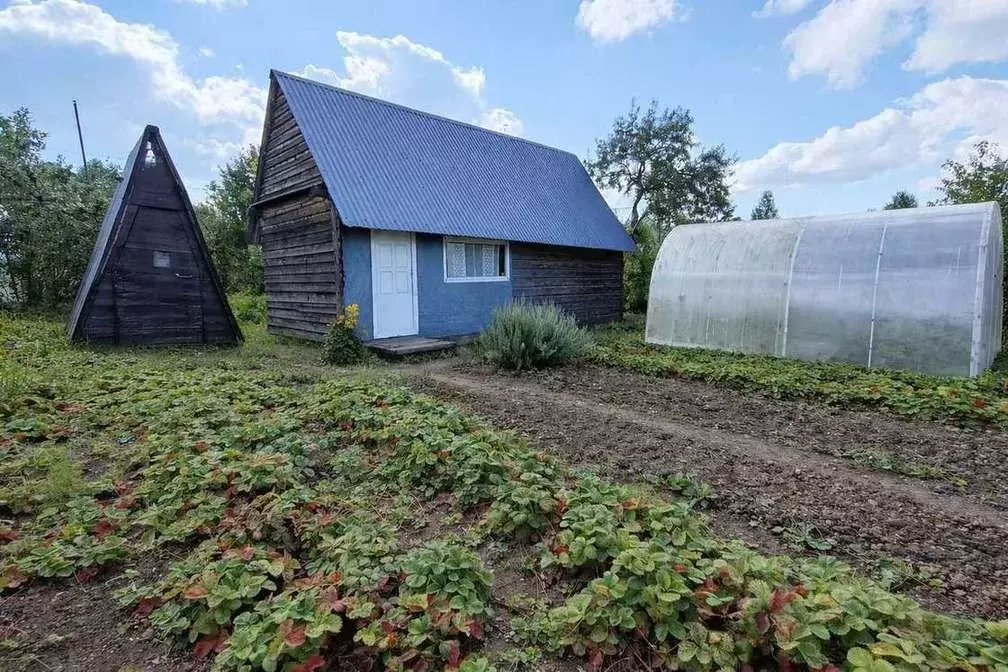 Дом в Пермский край, Краснокамский муниципальный округ, Алешиха ... - Фото 2