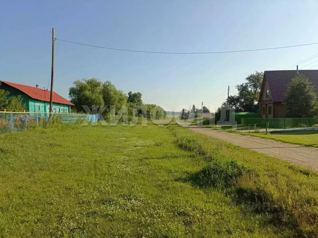 Участок в Новосибирская область, Коченевский район, д. Чик ул. ... - Фото 1