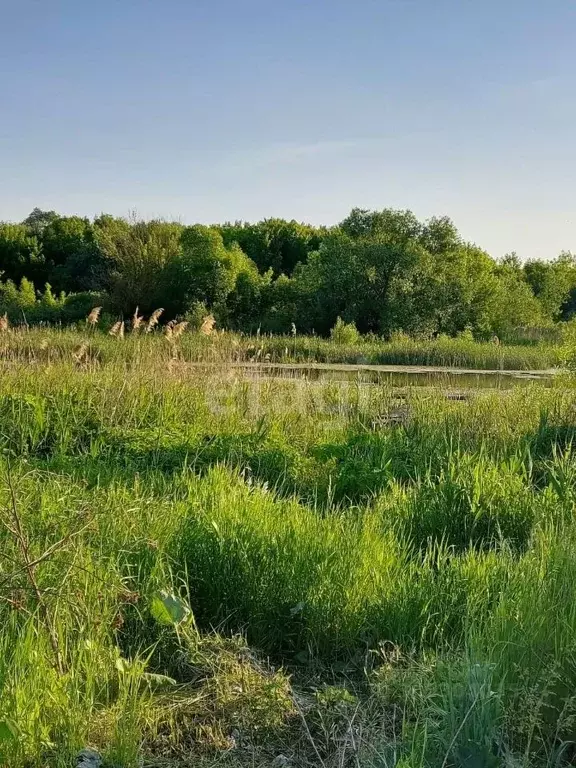 Участок в Воронежская область, Воронеж ул. Октябрьская (13.0 сот.) - Фото 0