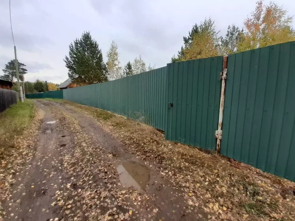 Участок в Свердловская область, Режевской муниципальный округ, пос. ... - Фото 2