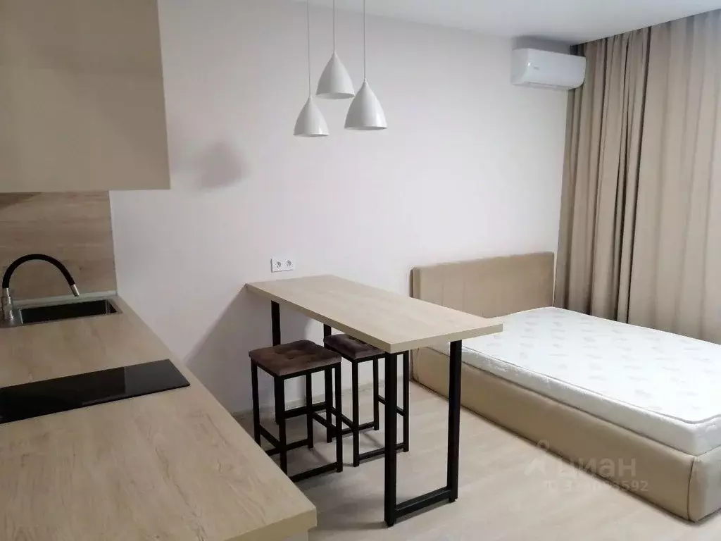 Студия Санкт-Петербург Прилукская ул., 28к2 (30.0 м) - Фото 2