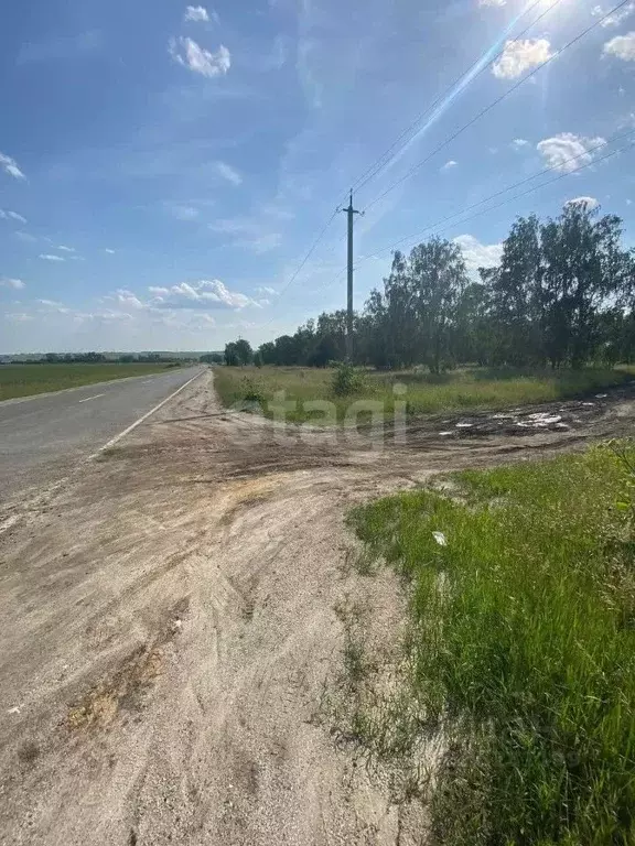 Участок в Челябинская область, Сосновский район, Солнечное с/пос, пос. ... - Фото 1