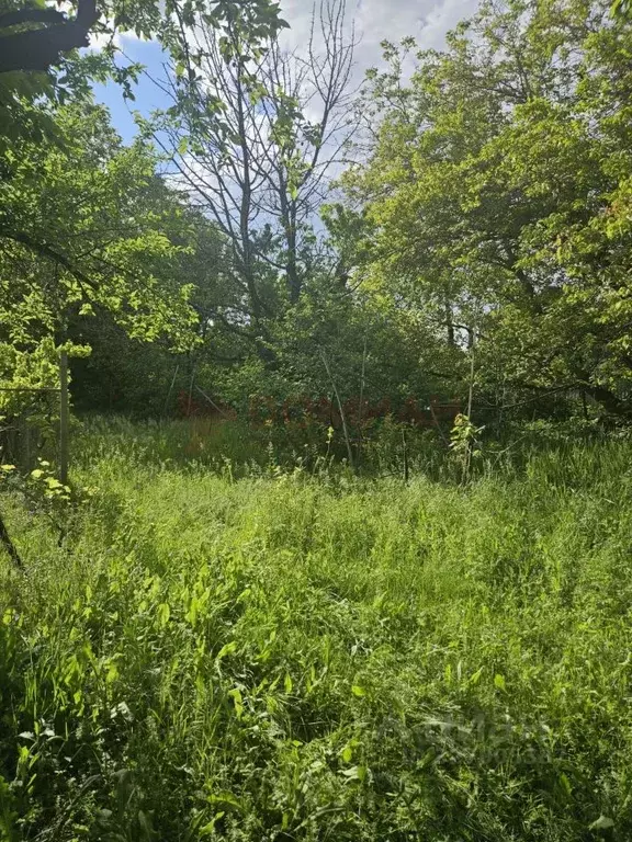 Участок в Пермский край, Пермский муниципальный округ, ЗаГорный кв-л ... - Фото 2