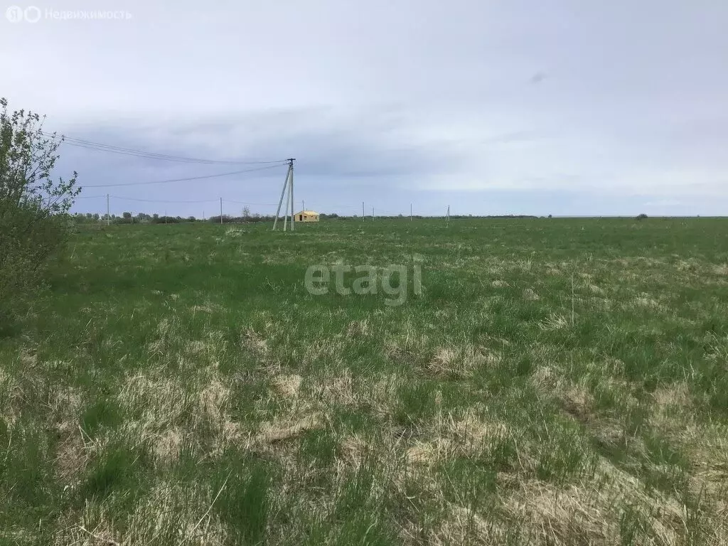 Участок в Новгородская область, Шимское городское поселение, деревня ... - Фото 0