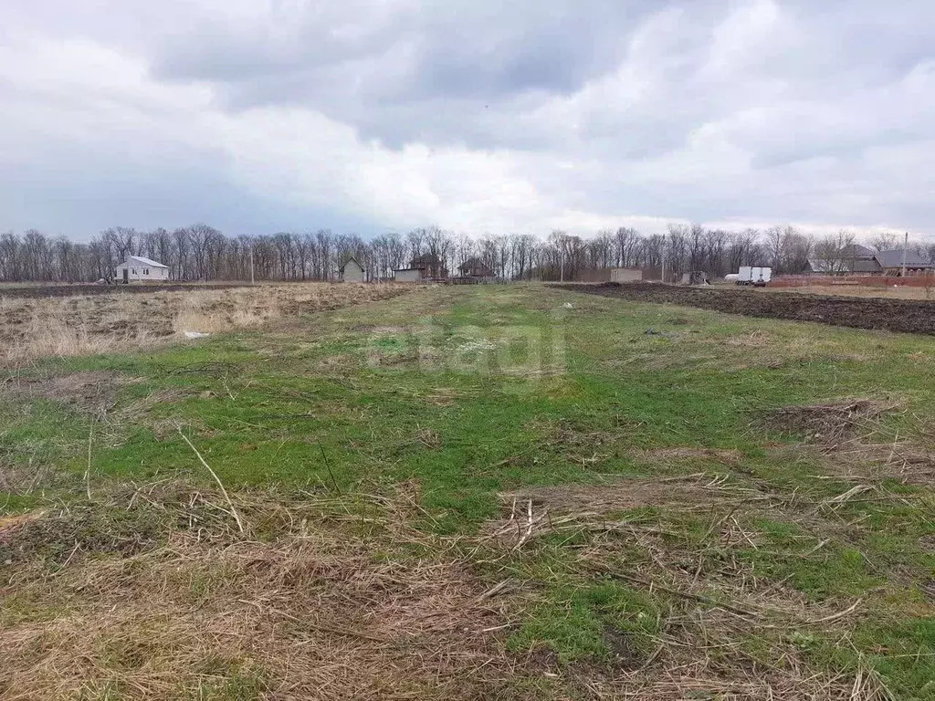 Участок в Курская область, Курский район, Рышковский сельсовет, ... - Фото 2