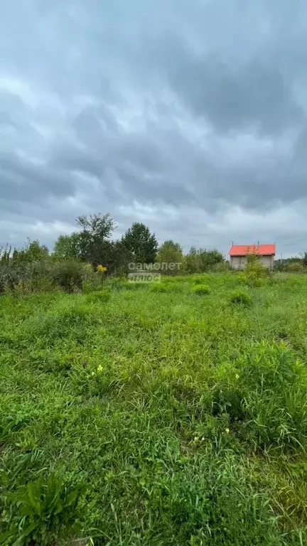 Участок в Новосибирская область, Бердск Луч СНТ, 35 (6.0 сот.) - Фото 0