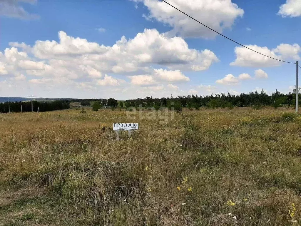 Участок в Белгородская область, Красногвардейский район, Засосенское ... - Фото 1