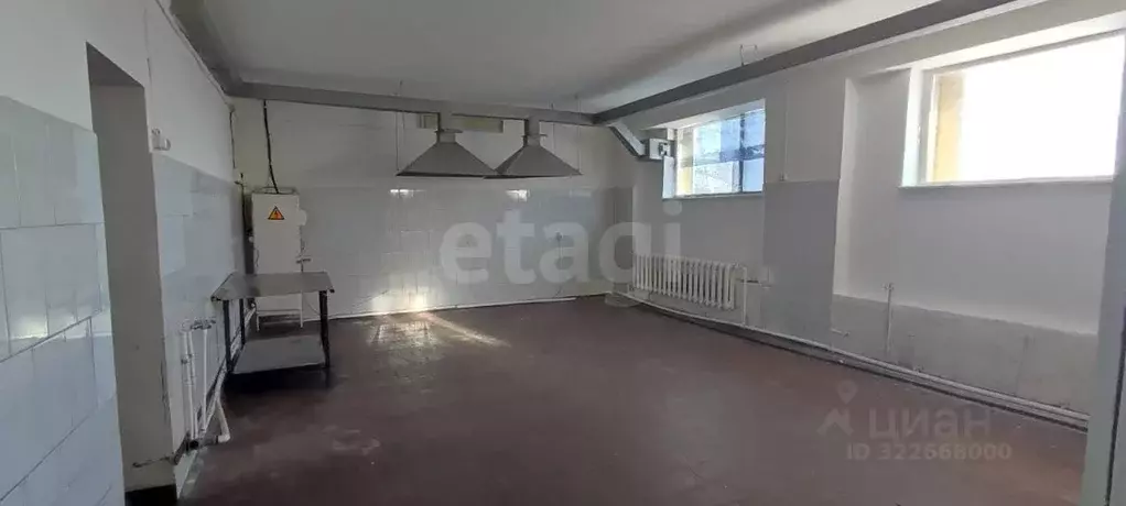 Дом в Амурская область, с. Тамбовка ул. Калининская, 14 (305 м) - Фото 1