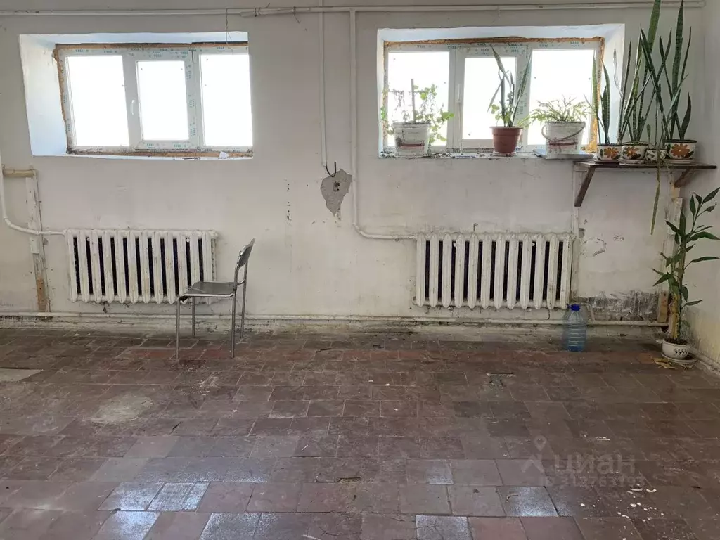 Помещение свободного назначения в Новосибирская область, Новосибирский ... - Фото 0