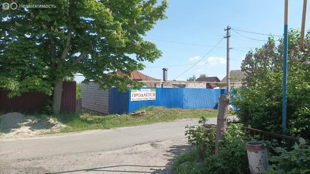 Дом в Черницынский сельсовет, деревня Ройково, 86 (54.6 м) - Фото 0