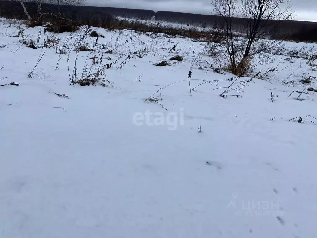 Участок в Нижегородская область, Дальнеконстантиновский муниципальный ... - Фото 1