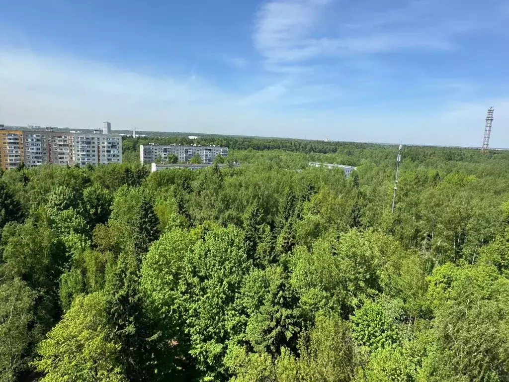 3-к кв. Московская область, Солнечногорск городской округ, Ржавки пгт ... - Фото 2