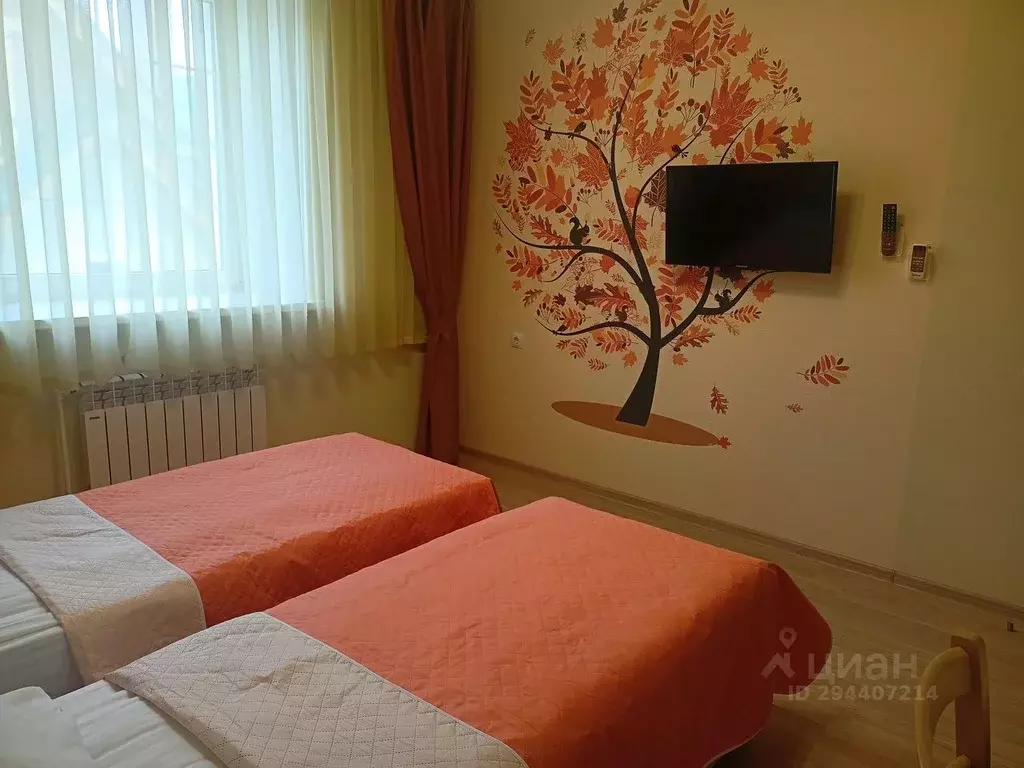 Комната Владимирская область, Суздаль Красноармейская ул., 39 (20.0 м) - Фото 2