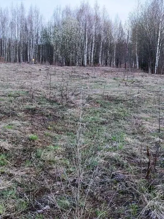 Участок в Пермский край, Березники муниципальный округ, д. Володин ... - Фото 1