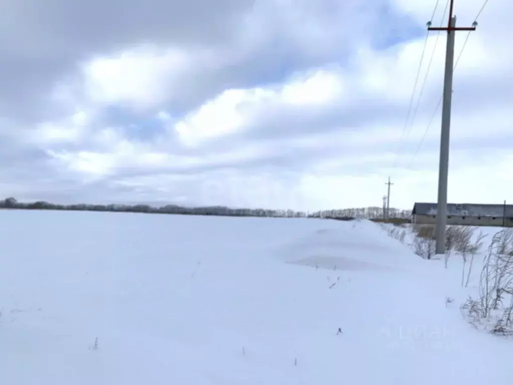 Участок в Новосибирская область, Колыванский район, д. Малый Оеш  ... - Фото 2