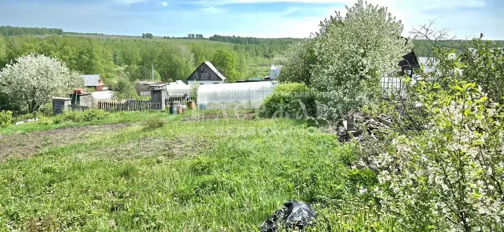 Участок 10 сот. (СНТ, ДНП) - Фото 0