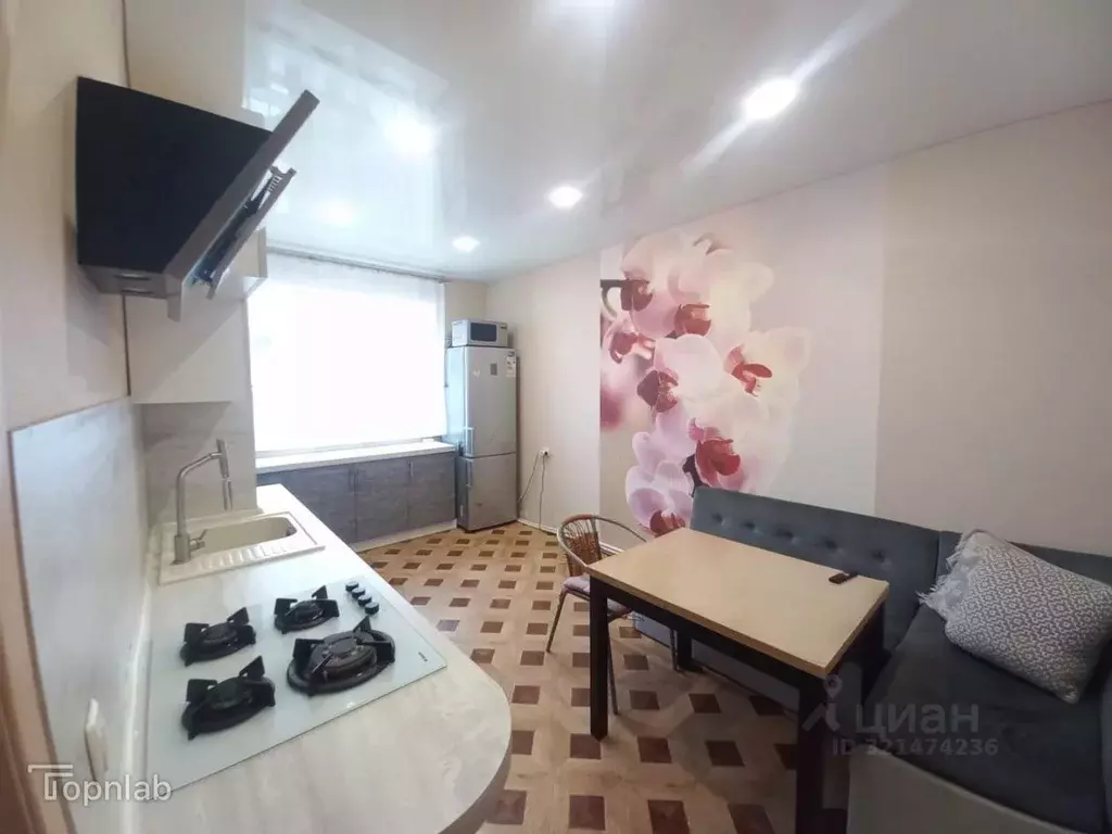 1-к кв. Владимирская область, Суздальский район, Новоалександровское ... - Фото 2