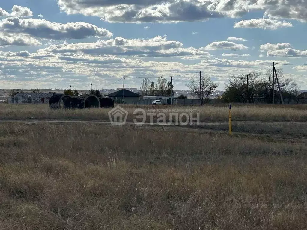 Участок в Волгоградская область, Городищенский район, Царицынское ... - Фото 1