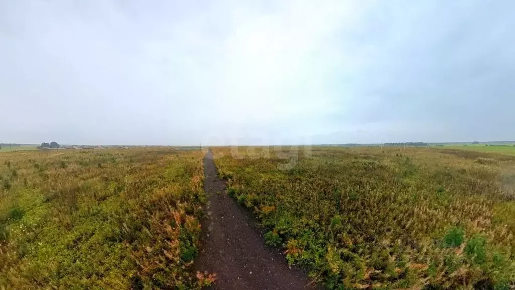 Участок в Тюменская область, Тюменский муниципальный округ, д. ... - Фото 1