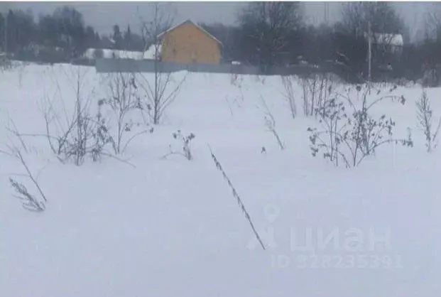 Участок в Московская область, Дмитровский муниципальный округ, с. ... - Фото 1