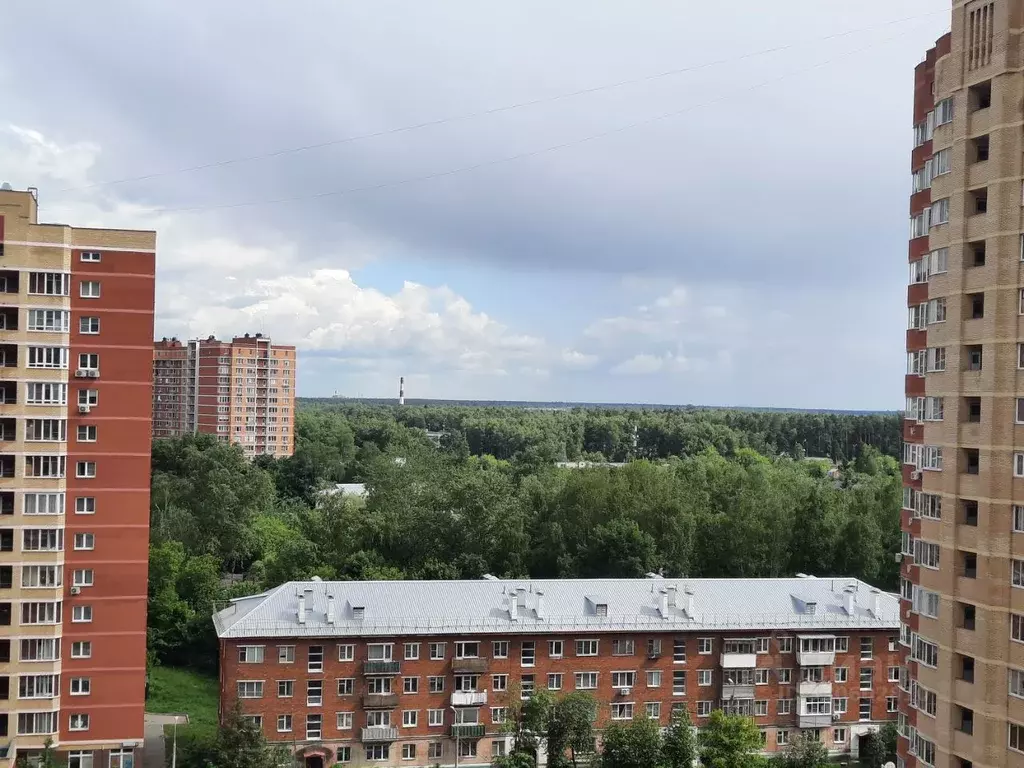 Студия Московская область, Щелково ул. Чкаловская, 4Б (28.8 м) - Фото 2