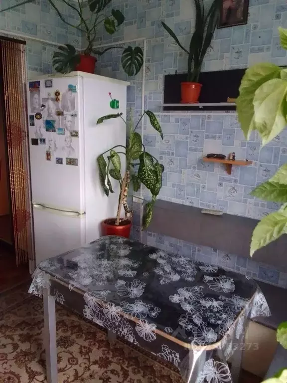 2-к кв. Коми, Инта ул. Мира, 48 (52.4 м) - Фото 2