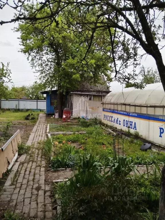 Дом в Брянская область, Брянск Мичуринец садовое общество, 325 (28 м) - Фото 2