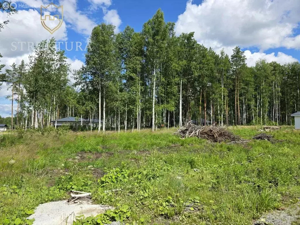 Участок в Курганово, Ольховая улица, 5 (6 м) - Фото 1
