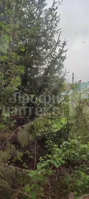 Дом в Нижегородская область, Кстовский муниципальный округ, с. Работки ... - Фото 0