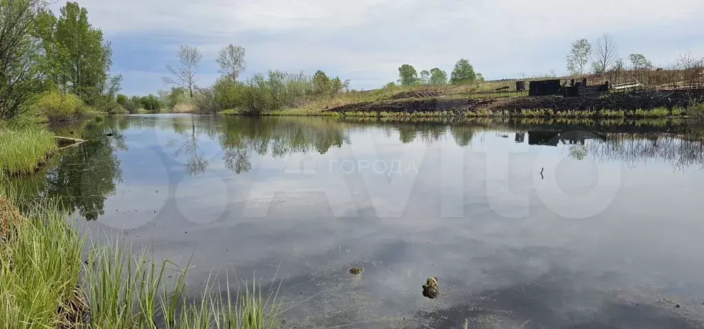 Участок 4,6 сот. (СНТ, ДНП) - Фото 0