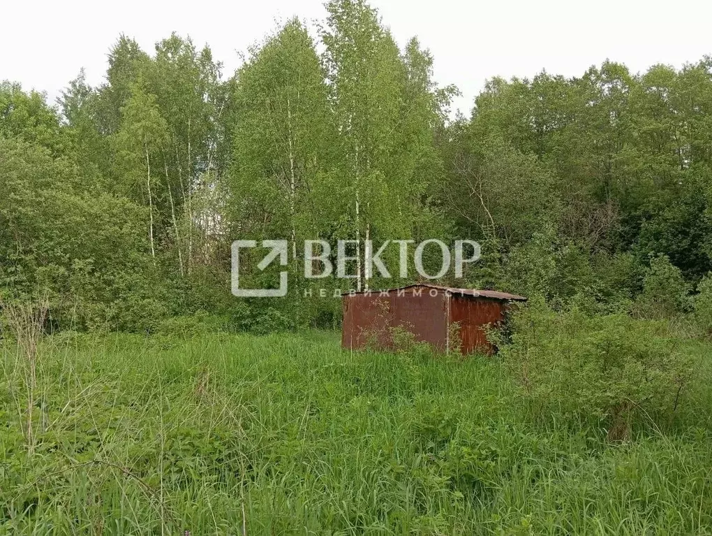 Участок в Костромская область, Красносельский район, Боровиковское ... - Фото 1