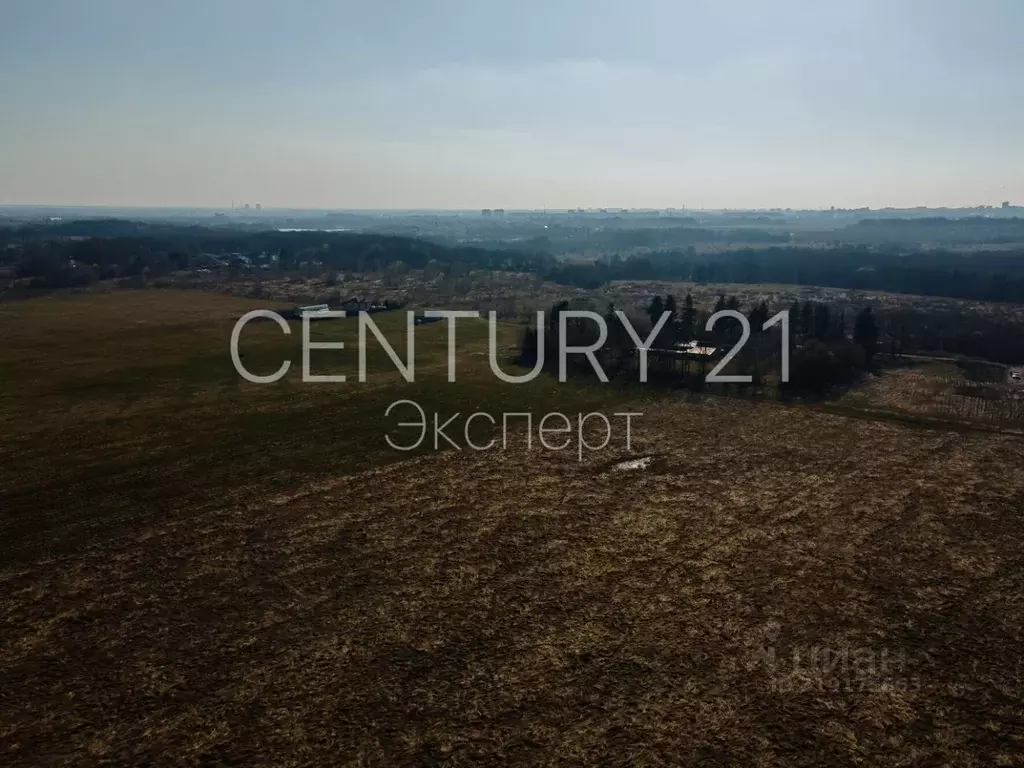 Участок в Калининградская область, Гурьевский муниципальный округ, ... - Фото 1