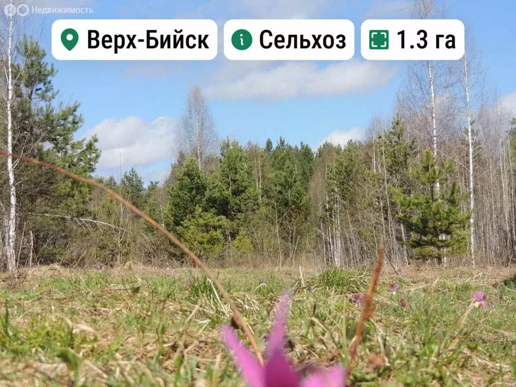 Участок в Турочакский район, село Верх-Бийск (1.3 м) - Фото 1