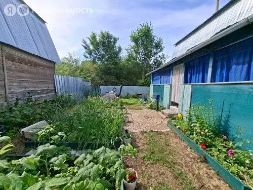 Дом в Волжск, СТ Волгарь (64 м) - Фото 2