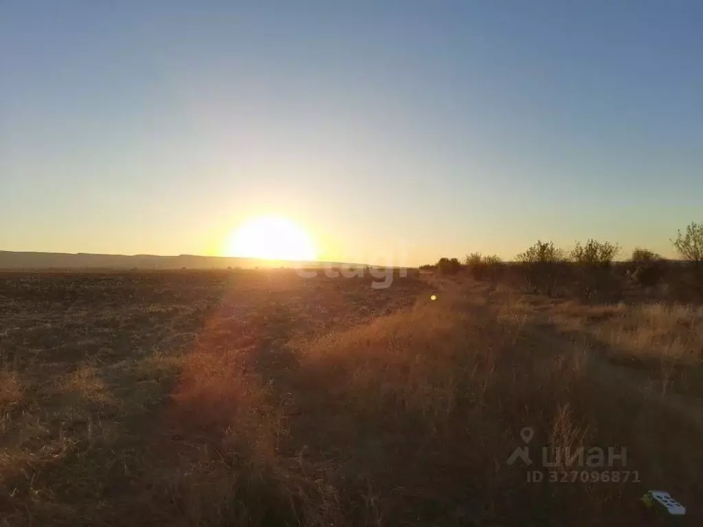 Участок в Крым, Кировский район, с. Льговское ул. Пушкина (200.0 сот.) - Фото 0