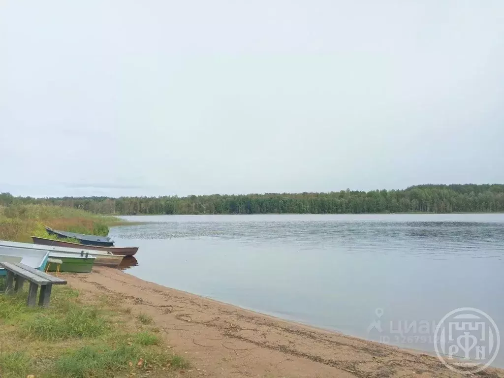 Дом в Ленинградская область, Выборгский район, Красносельское с/пос, ... - Фото 2