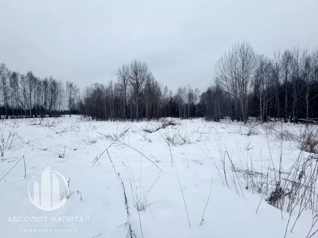 Участок в Тверская область, Калязинский муниципальный округ, д. ... - Фото 1