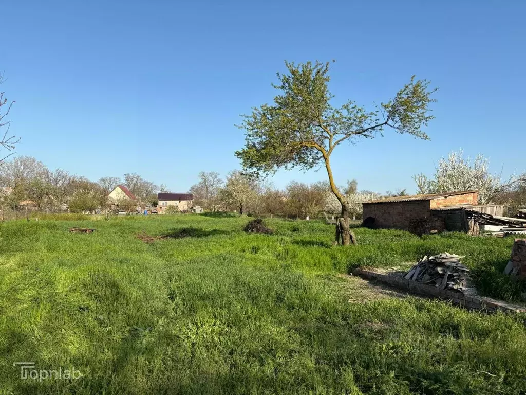 Участок в Краснодарский край, Щербиновский район, Новощербиновская ... - Фото 1