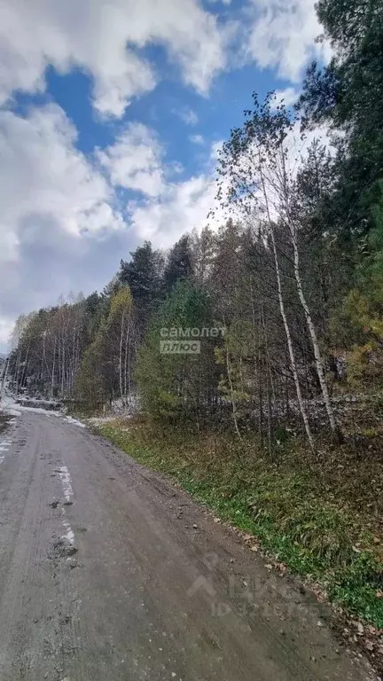 Участок в Алтайский край, Белокуриха Алтайская ул. (12.76 сот.) - Фото 2