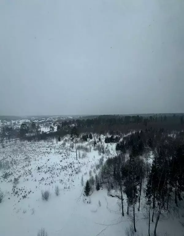 3-к кв. Московская область, Одинцовский городской округ, пос. Горки-10 ... - Фото 2